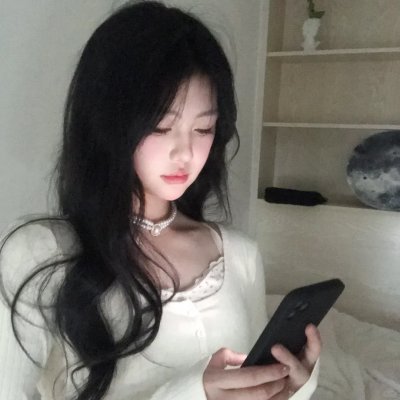 托梅斯的导盲犬